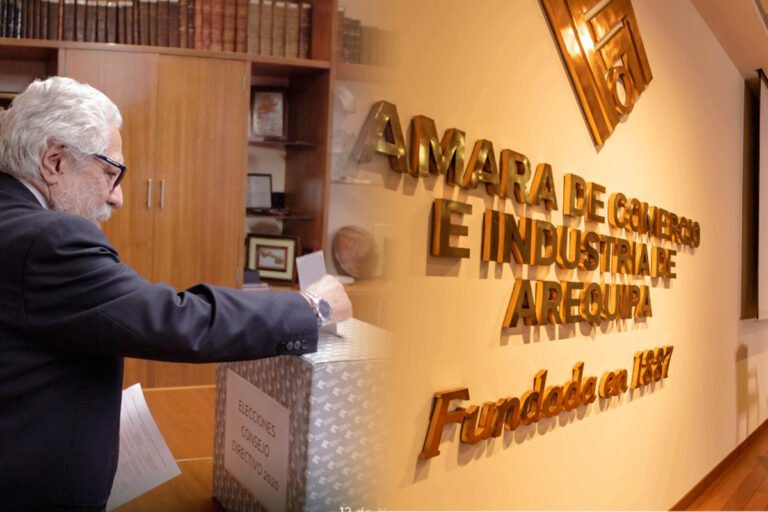 ccia elecciones