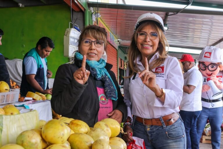 Armintaa campaña