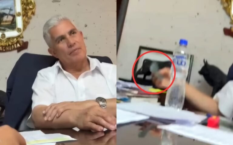 coima-alcalde-yanahuara7420095956836123328.jpg