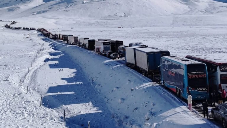 Nevadas