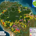 Amazonia