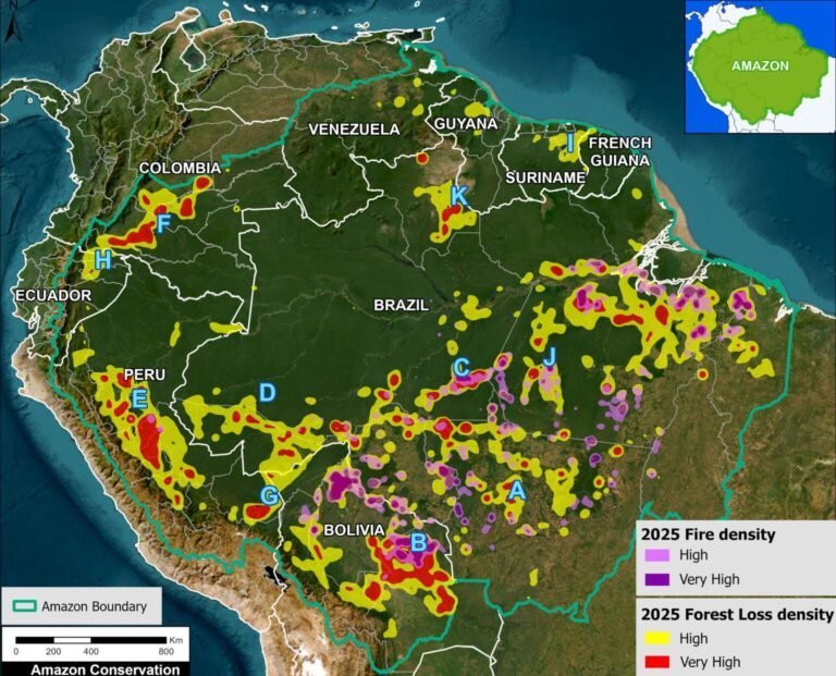 Amazonia