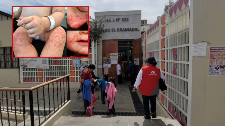 Virus nido moquegua