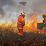 Puno incendios forestales