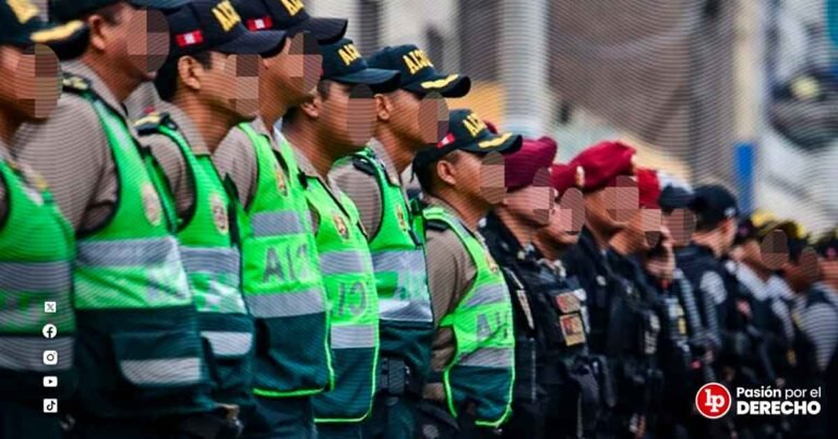 proyecto-armas-fuego-policia-flagrante-LPDERECHO.jpg