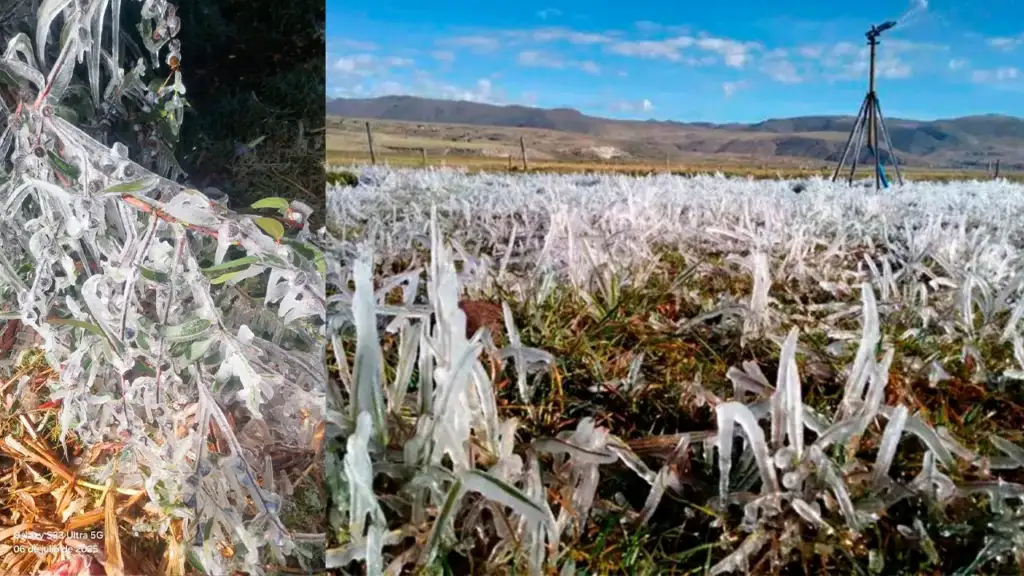 Heladas-afectan-principales-cultivos-y-anuncian-que-el-frio-seguira-descendiendo