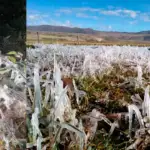 Heladas-afectan-principales-cultivos-y-anuncian-que-el-frio-seguira-descendiendo