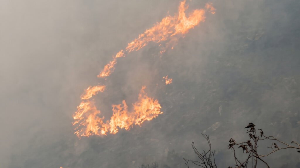 Incendio forestal