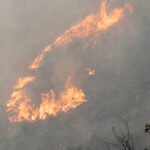 Incendio forestal