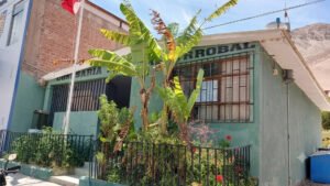 Fuga algarrobal