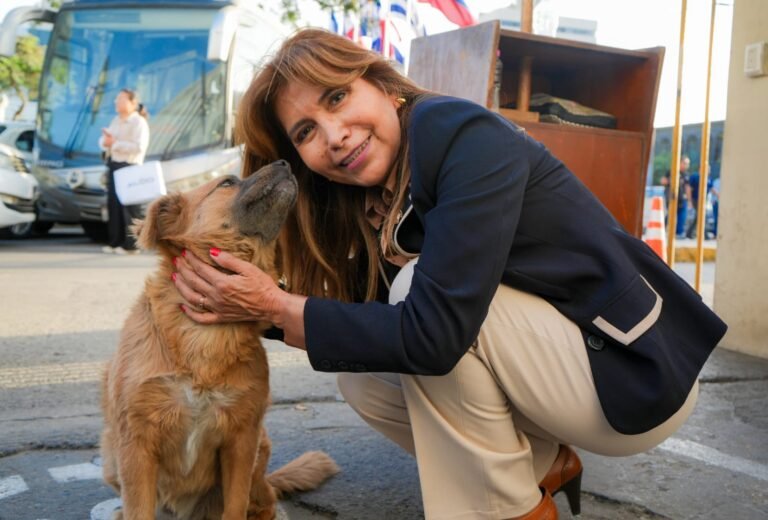 Arminta animales