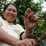 café de Puno