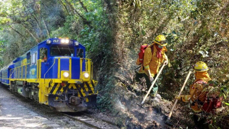 Trenes machu picchu