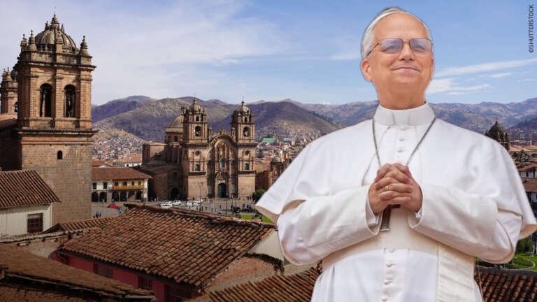 Papa león