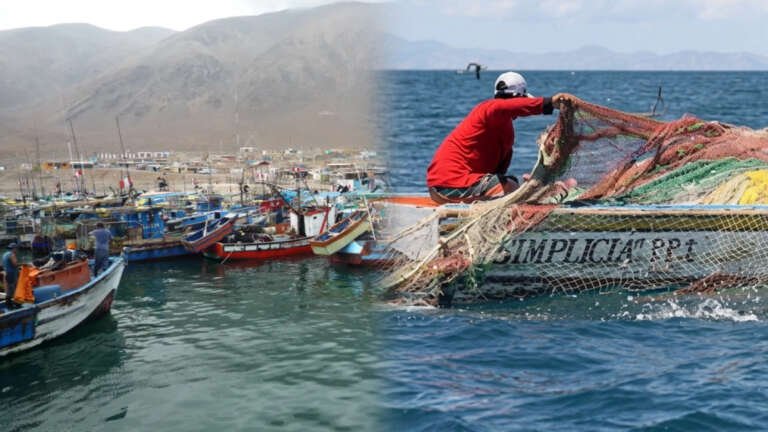 Pescadores crisis