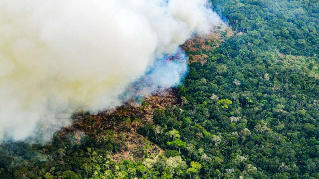 El niño amazonía