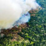 El niño amazonía