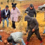 Muertos terrorismo