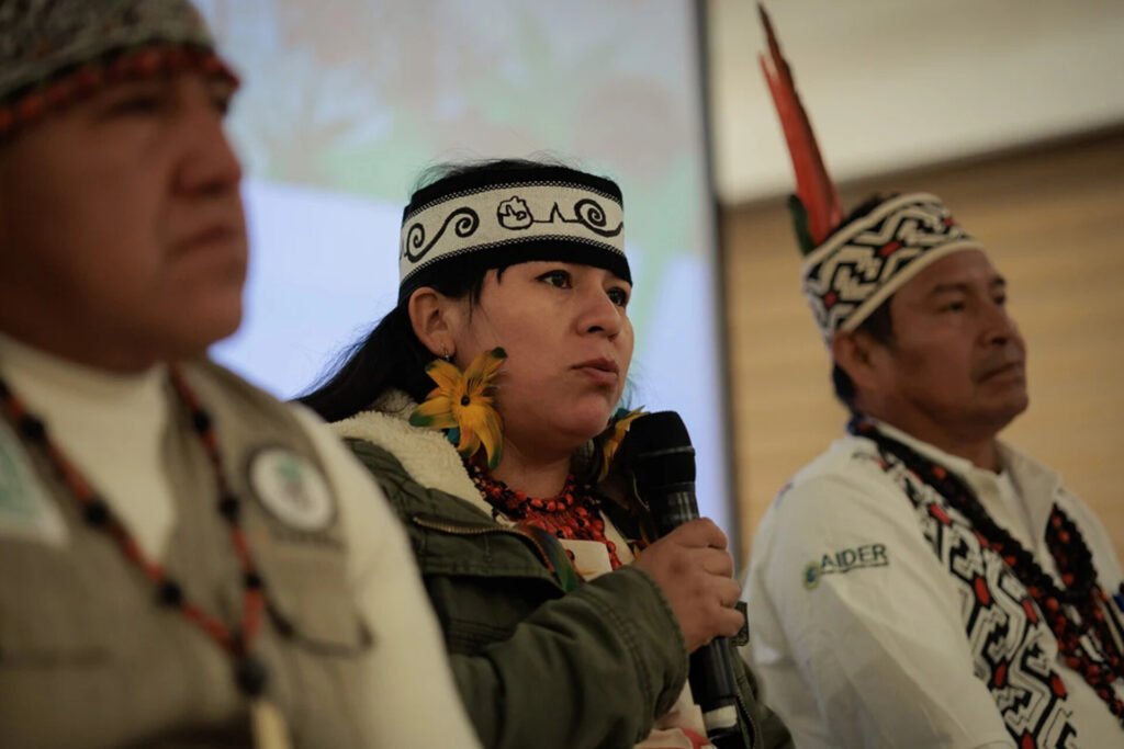 Pueblos indigenas