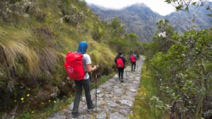 Camino inca