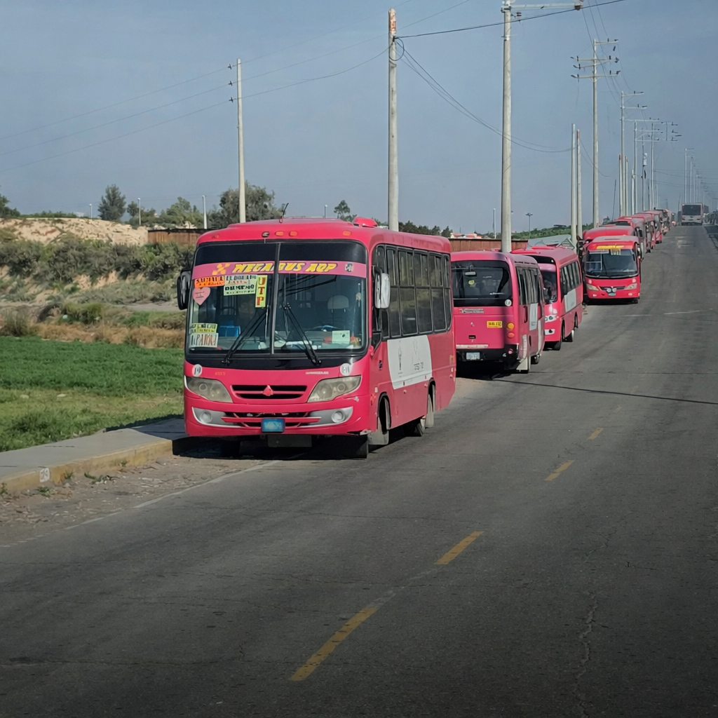 PARALIZACIÓN SIT