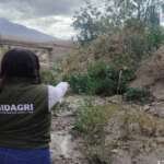 contaminacion alto selva alegre chilina