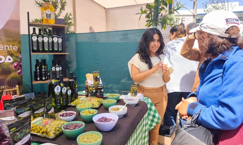 Aceituna tacneña