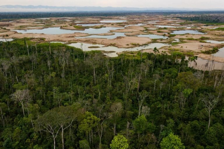 Mercurio madre de Dios