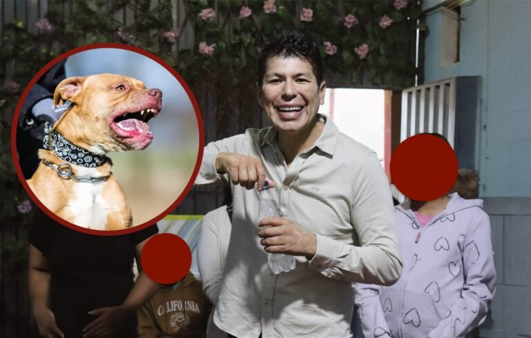 Hermes oscco pitbulls