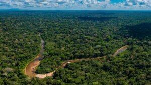 Una reforma que vuelve a poner en alerta a la Amazonía de Madre de Dios