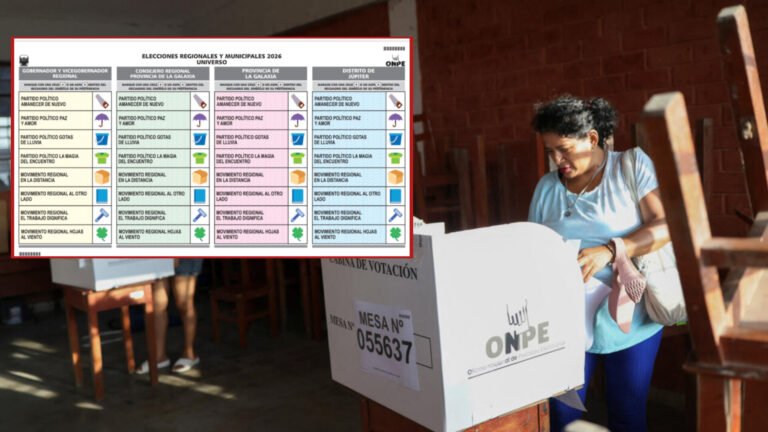 Elecciones 2026