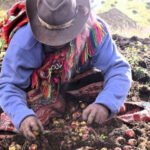 Cusco económica