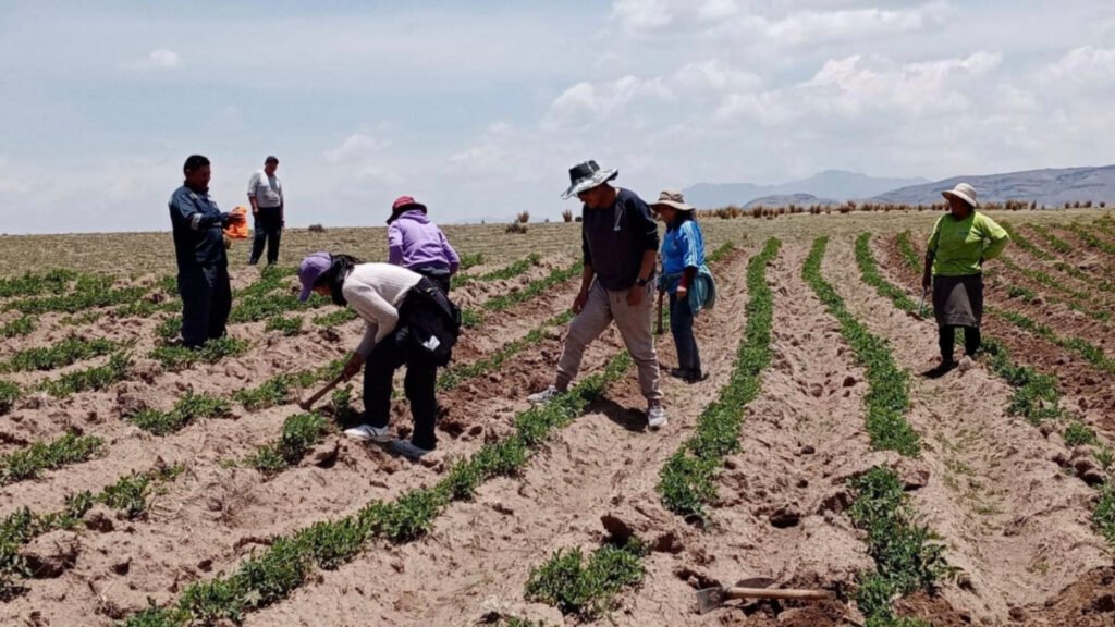Puno: solo una de 110 municipalidades presentó su plan frente al déficit hídrico