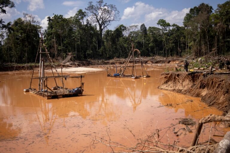 Minería ilegal avanza pese a 201 operativos en Madre de Dios