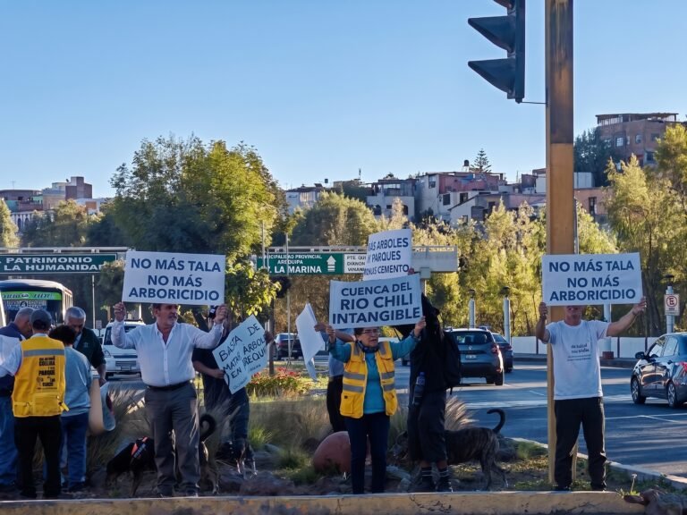 Protesta arboricidio
