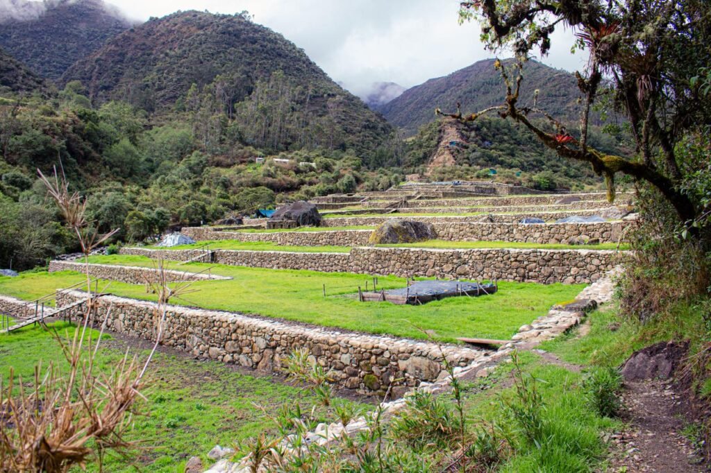 Andenes cusco