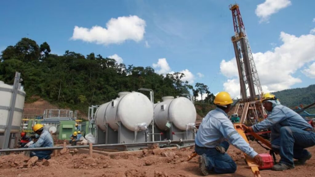 cámaras de comercio masificación del gas