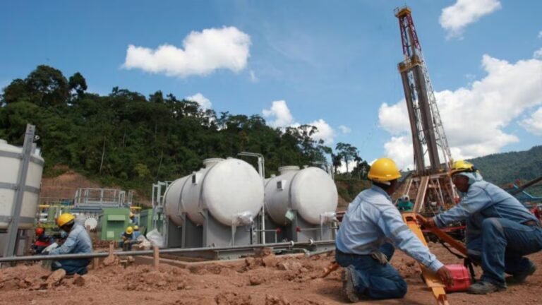 cámaras de comercio masificación del gas