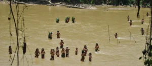 Perú ante la Corte IDH por protección de Mashco Piro y otros pueblos
