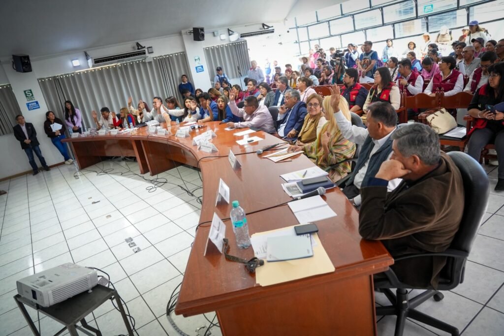 Concejo provincial MPA