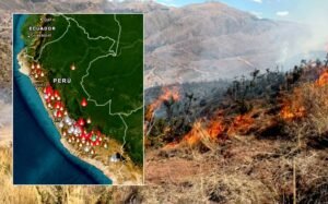 Declaratorio de emergencia incendios