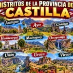 Diseño sin título (4)