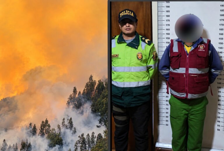 Detenidos incendio