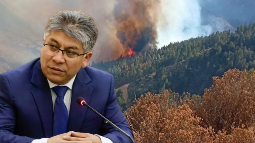 Salcedo incendios