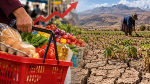 El sur paga más: precios suben y el FEN amenaza los alimentos