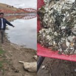 Puno EPS Azángaro